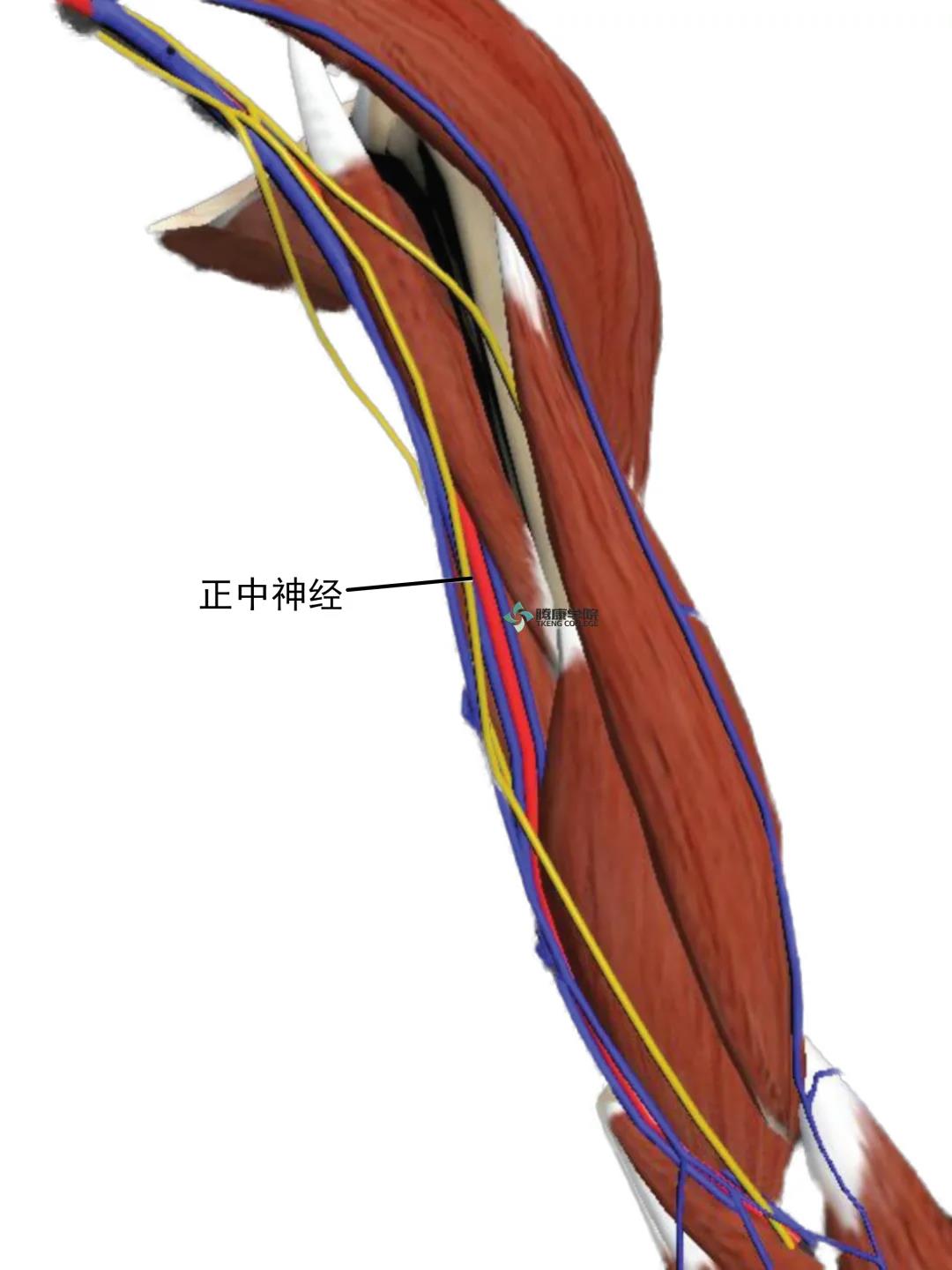 微信图片_20210420171904.jpg