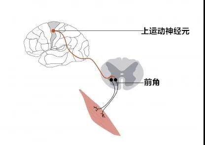 微信图片_20210611141518.jpg