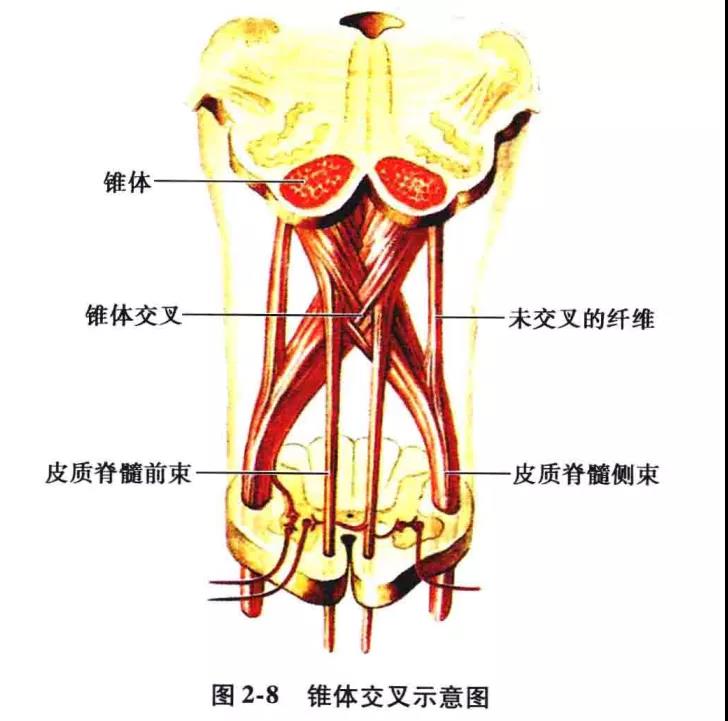 微信图片_20210826162025.jpg