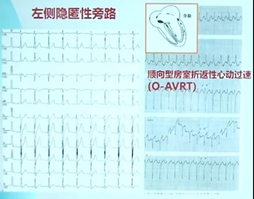 微信图片_20210826130130.jpg
