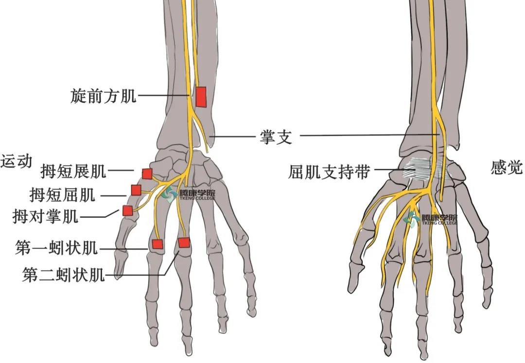 微信图片_20210420171927.jpg