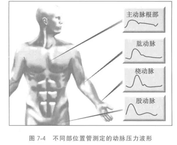 微信图片_20210303130259.jpg