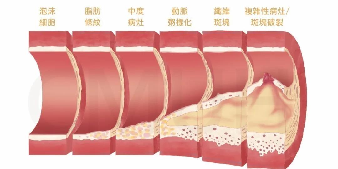 微信图片_20201204104858.jpg