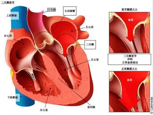微信图片_20210914135105.jpg