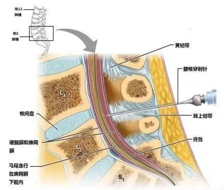 微信图片_20220616155113.jpg