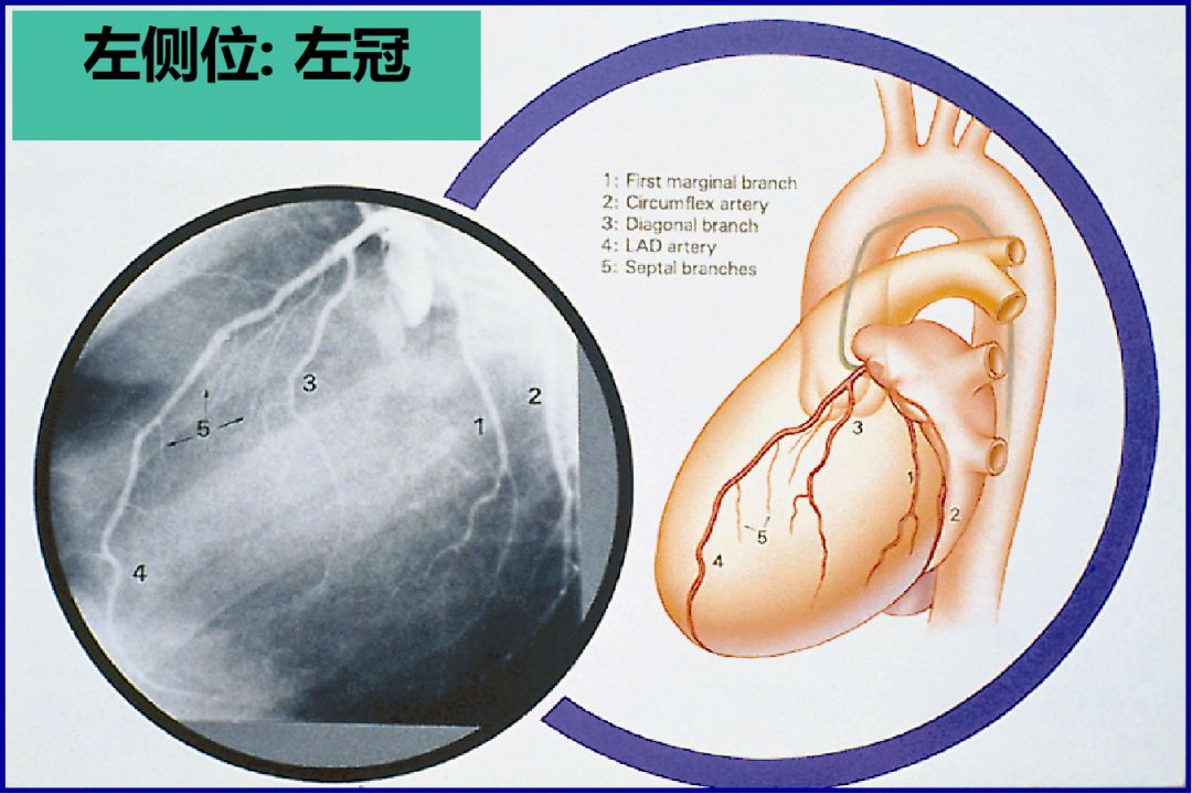 微信图片_20201217150017.jpg