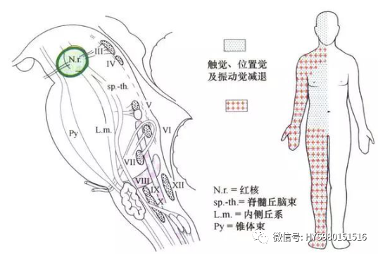 微信图片_20210811112732.png