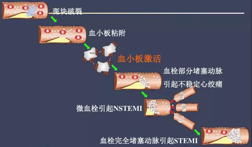 微信图片_20200923140747.jpg