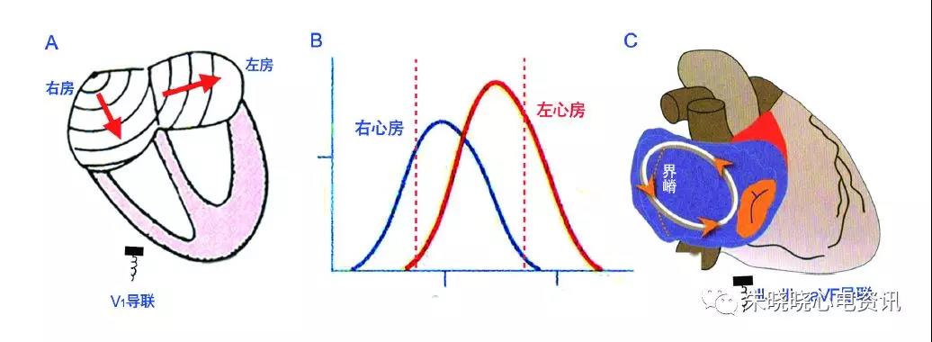 微信图片_20211103094126.jpg