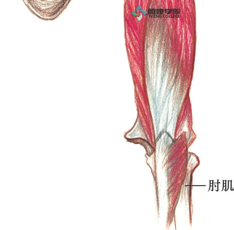 微信图片_20210413164328.jpg