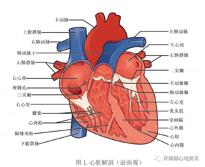 微信图片_20220325102407.jpg