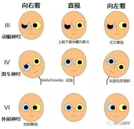 微信图片_20220616155104.jpg