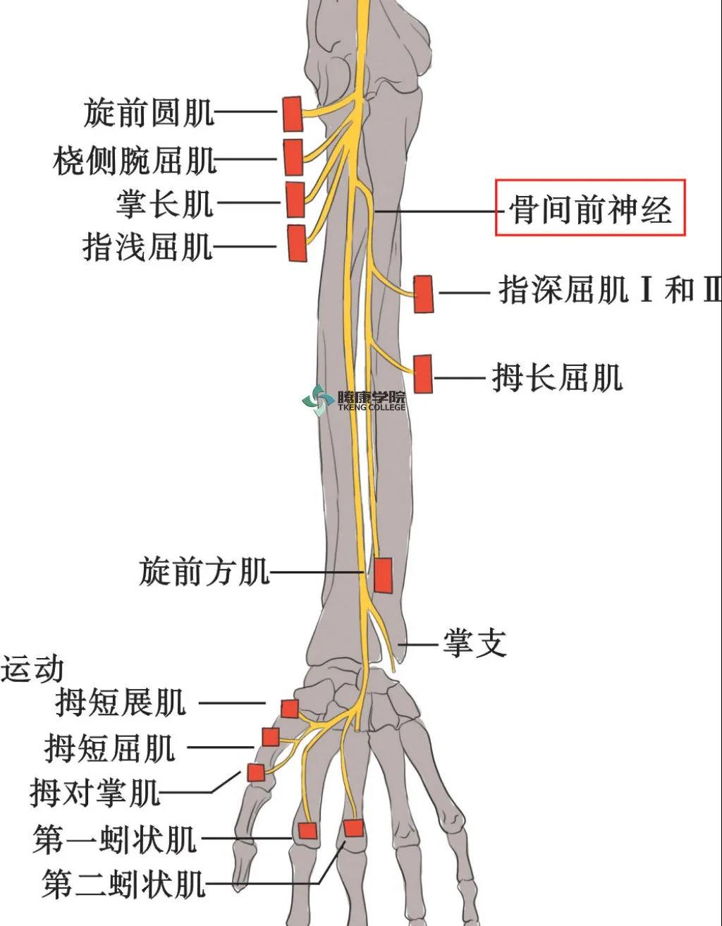 微信图片_20210420172225.jpg