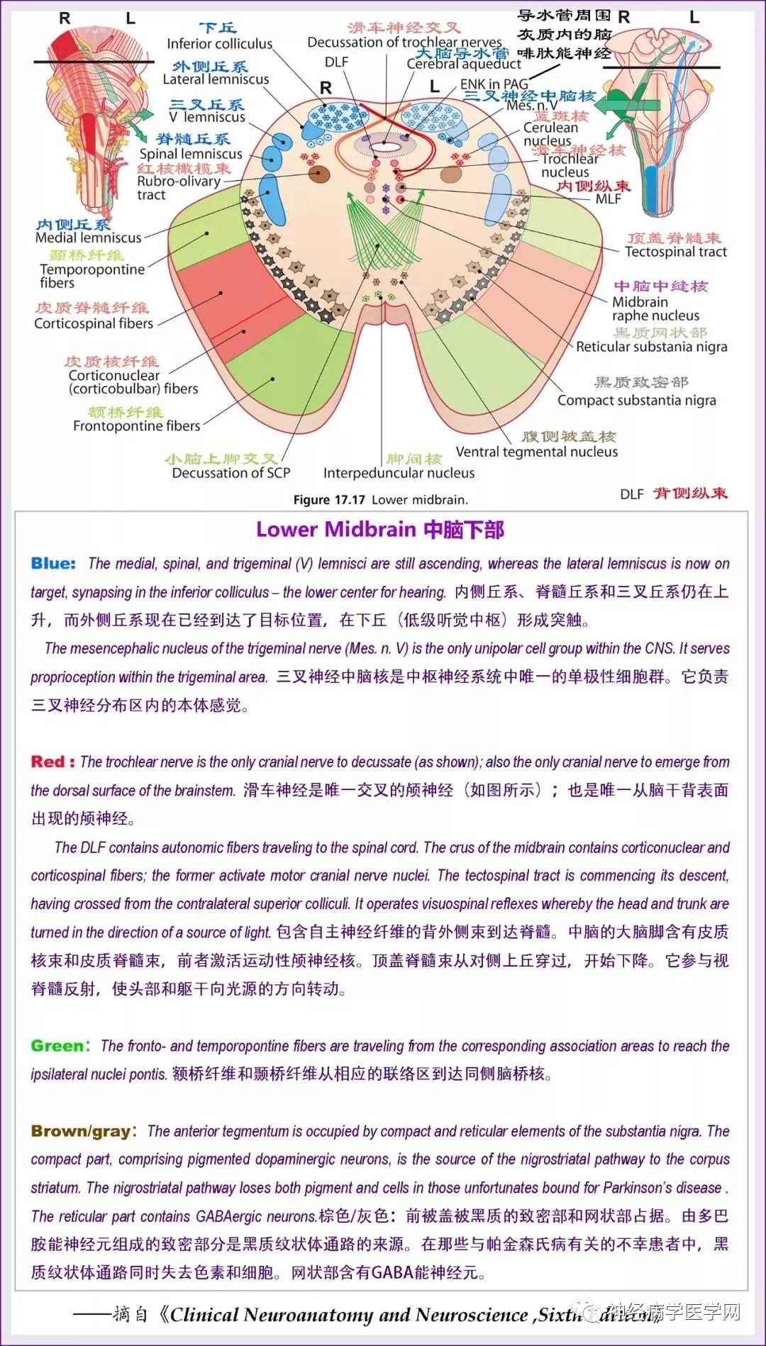 微信图片_20210818164604.jpg