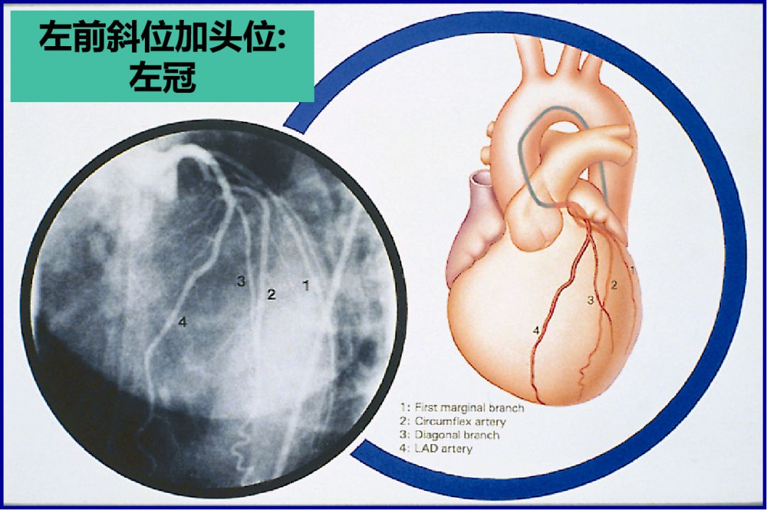 微信图片_20201217150020.jpg