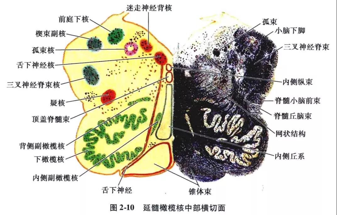 微信图片_20210826162030.jpg