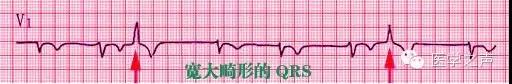 微信图片_20210518164435.jpg