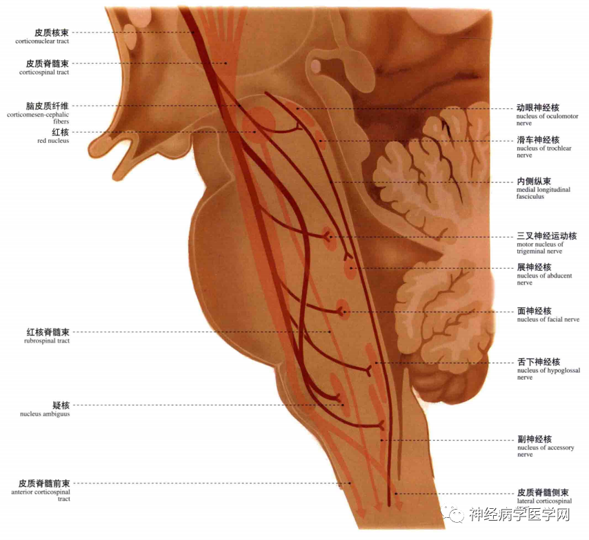 微信图片_20210128164405.png