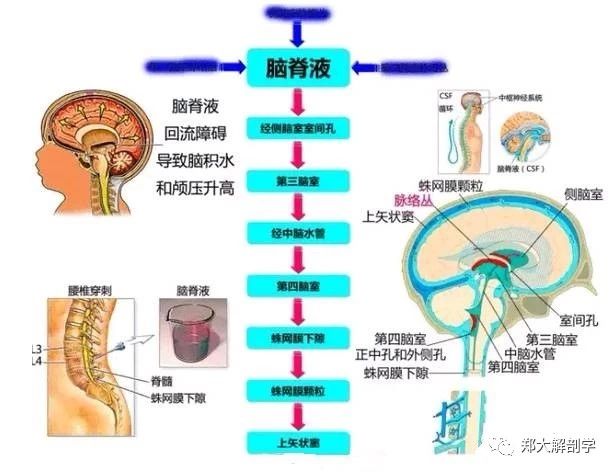 微信图片_20220616155114.jpg