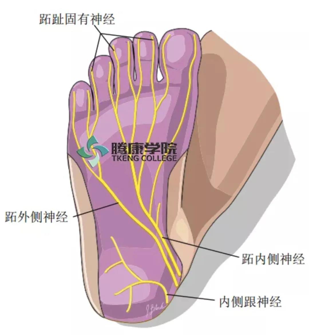 微信图片_20210525111052.jpg
