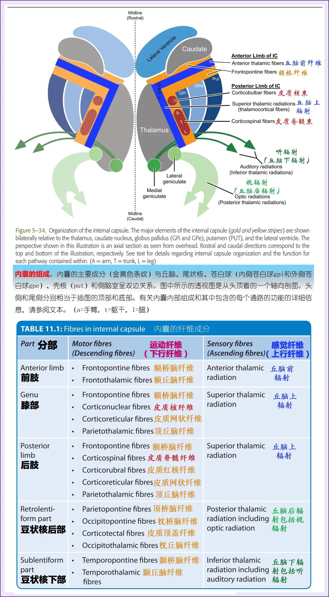 微信图片_20210316163335.jpg