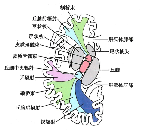 微信图片_20210316163338.png