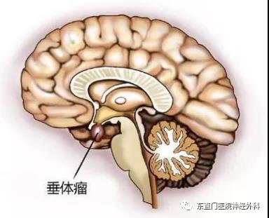 微信图片_20210330164642.jpg