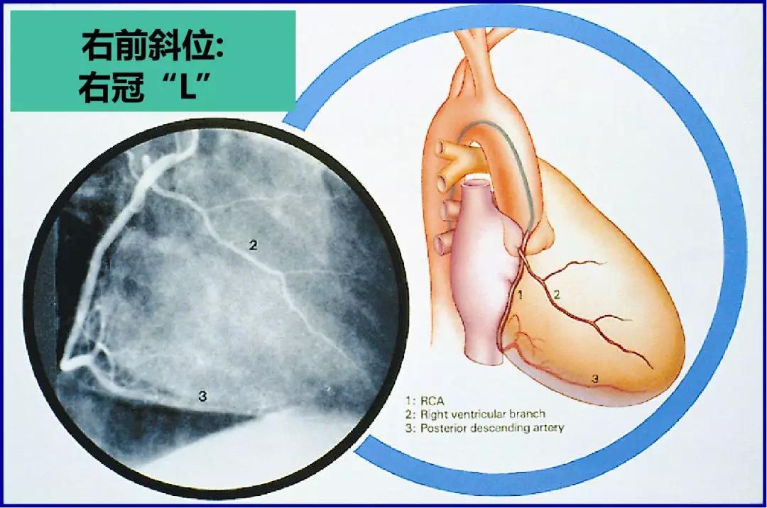 微信图片_20201217150036.jpg