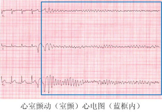 微信图片_20210603154327.png