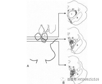 微信图片_20210811112735.png