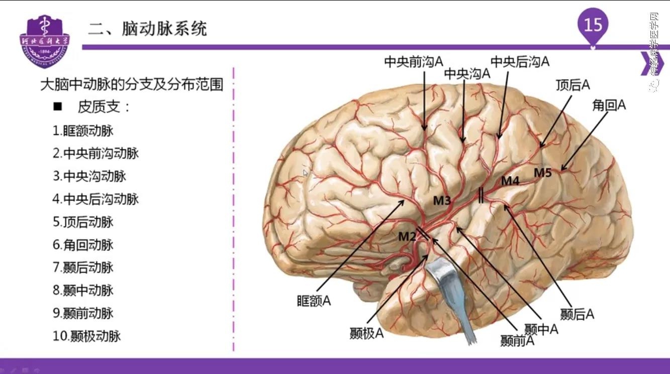 微信图片_20210701134600.jpg