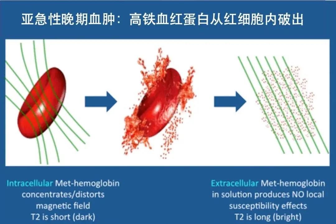 微信图片_20210806150704.jpg