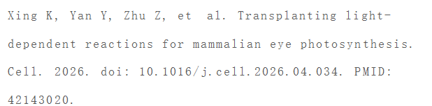 upfile ScreenShot_2026-06-23_153351_373.png