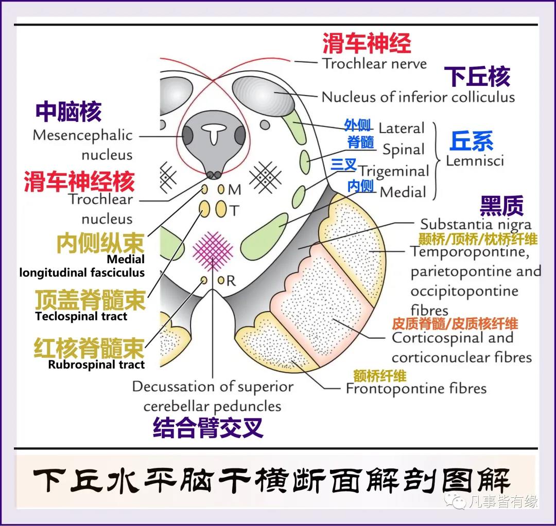 微信图片_20220217150504.jpg