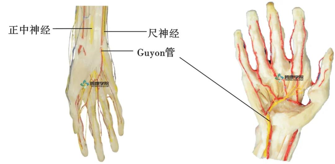 微信图片_20210413164340.jpg