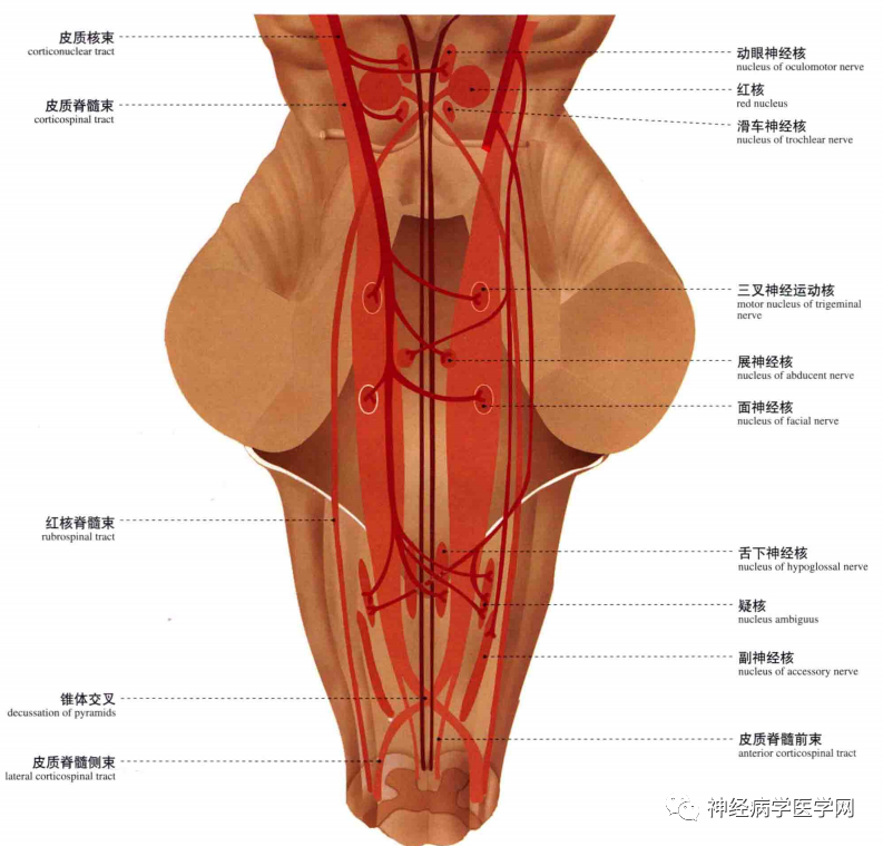 微信图片_20210128164407.png