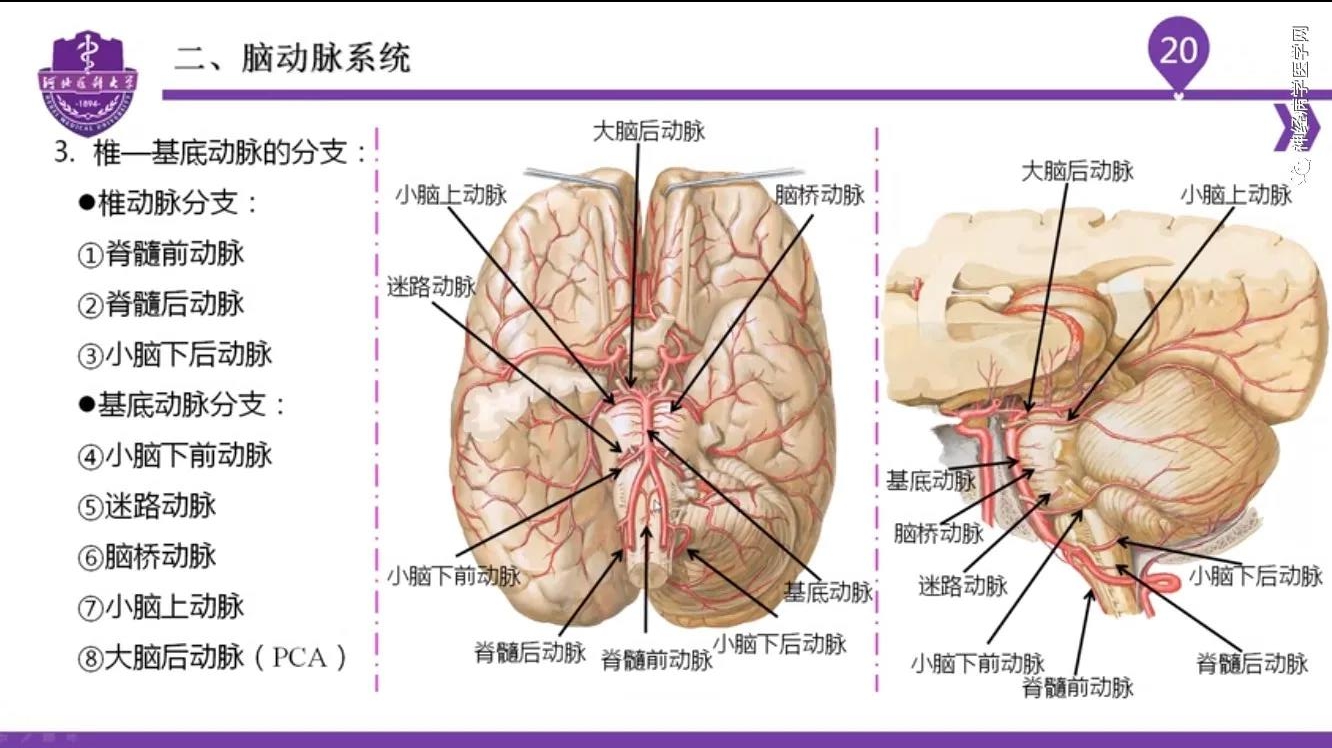 微信图片_20210701134619.jpg