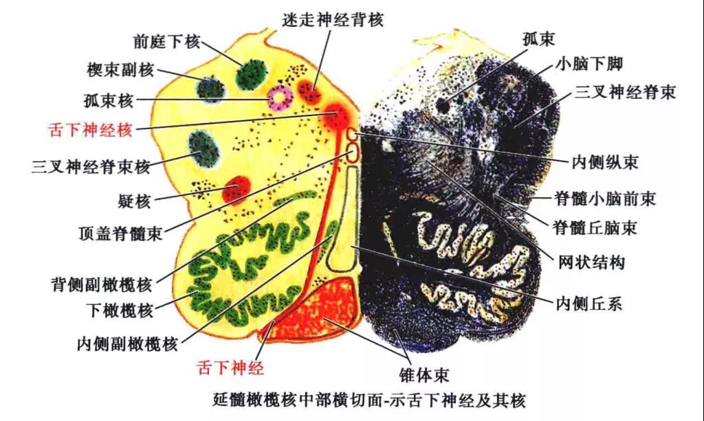 微信图片_20210826162126.jpg