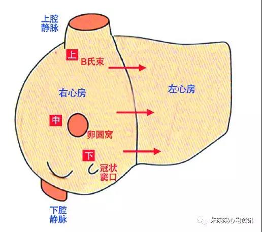 微信图片_20211103094131.jpg