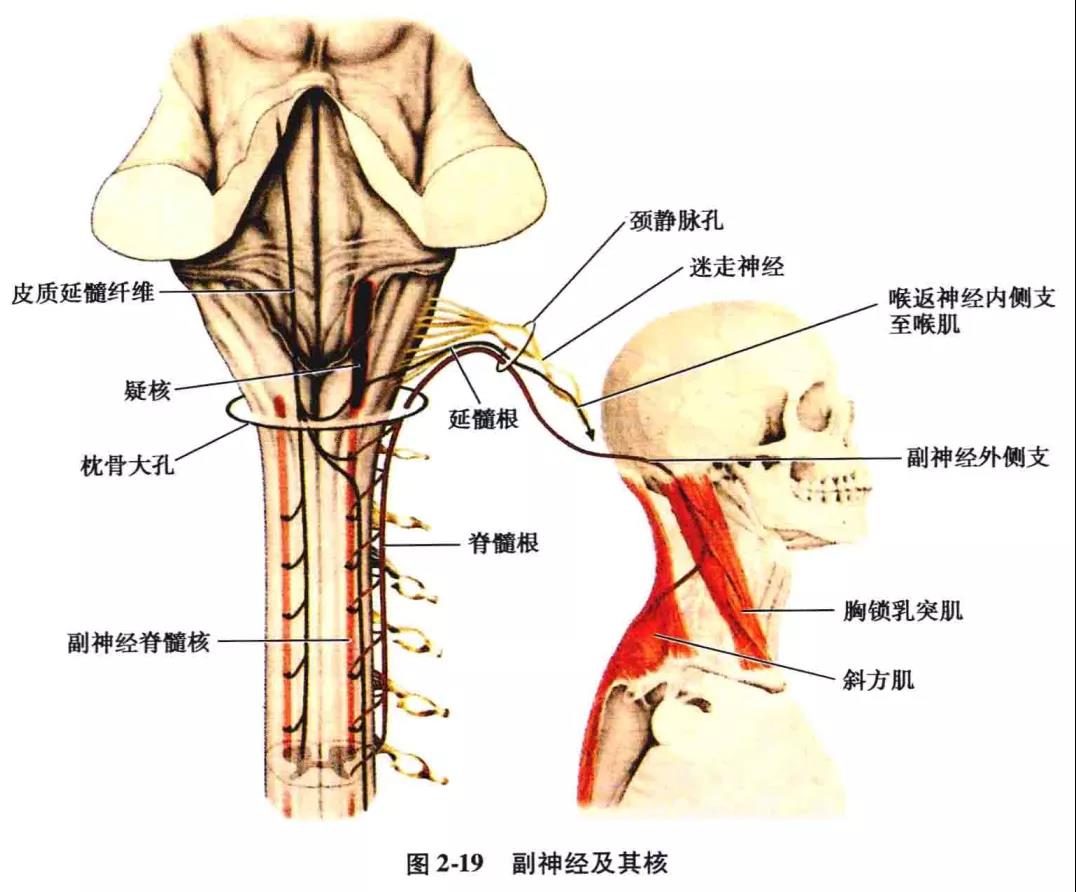 微信图片_20210826162130.jpg