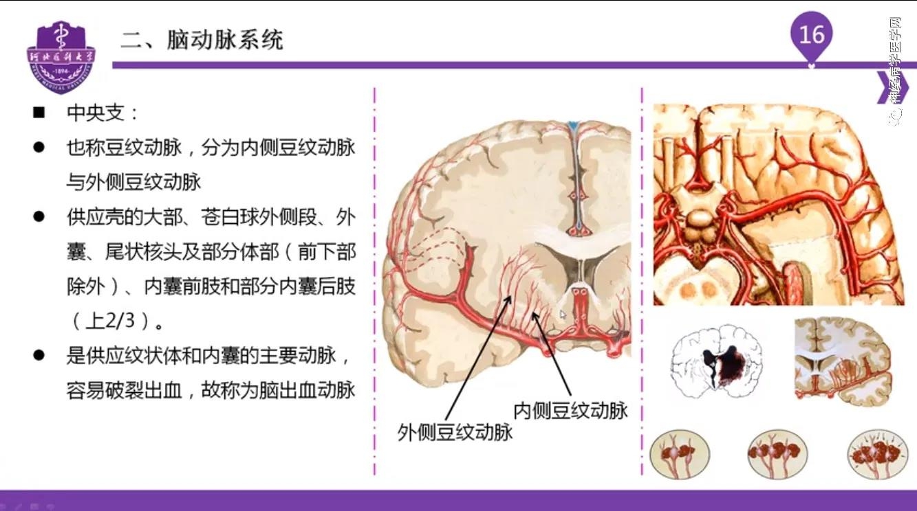 微信图片_20210701134604.jpg