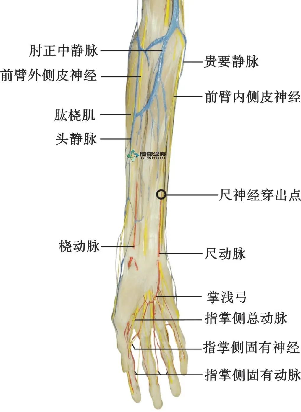 微信图片_20210422174924.jpg