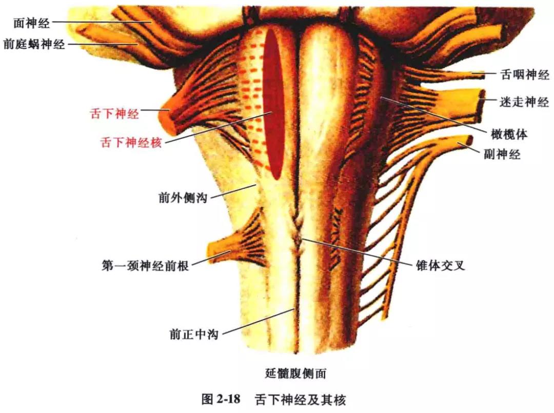 微信图片_20210826162128.jpg