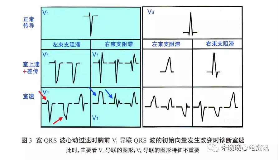微信图片_20211022150001.jpg