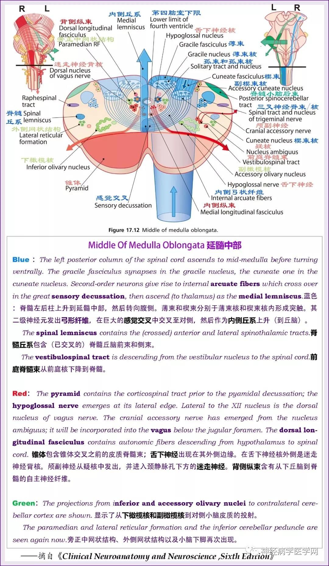 微信图片_20210309143728.jpg
