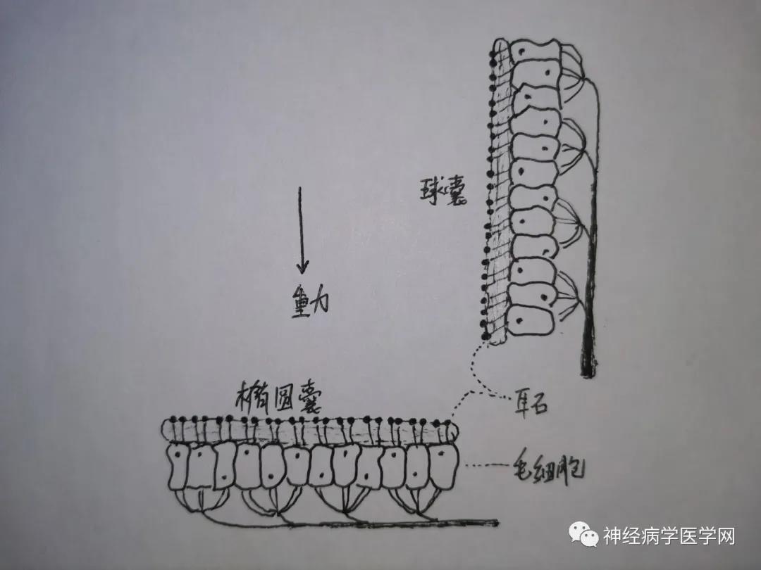 微信图片_20210810152318.jpg