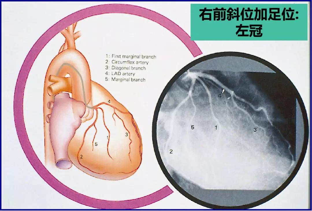 微信图片_20201217150024.jpg