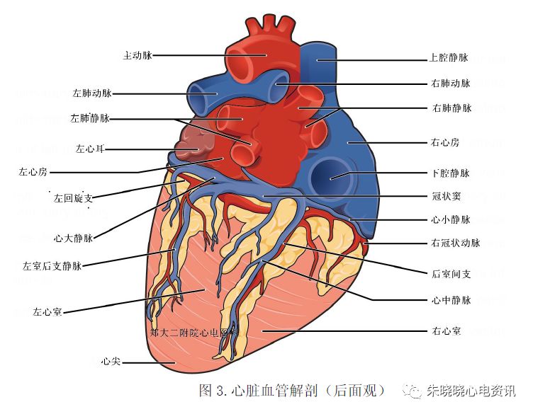 微信图片_20220325102424.jpg