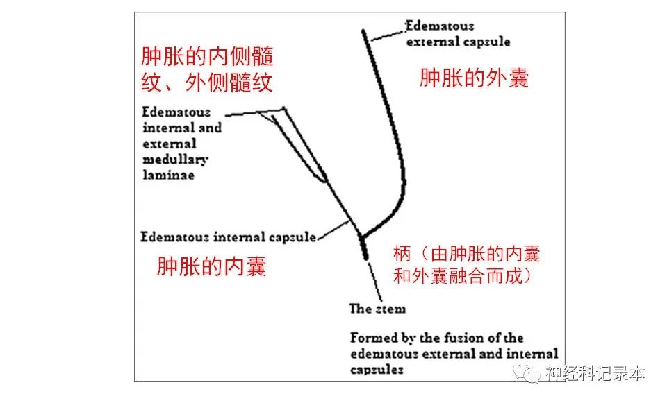 微信图片_20211117141847.jpg