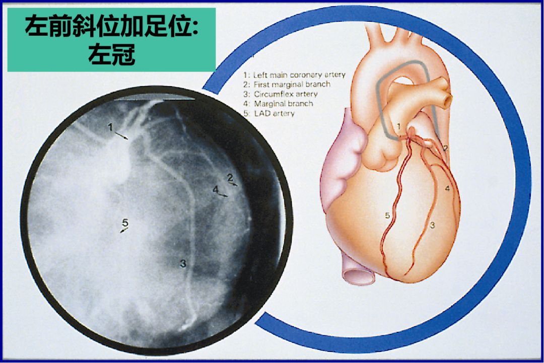 微信图片_20201217150022.jpg